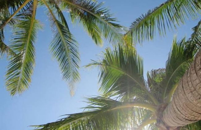 Villa Le Tre Palme - Foto 47