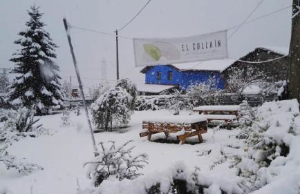 Apartamentos Rurales El Collaín de Campiellos - Foto 13