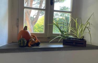 Il Piccolino - Photo 20