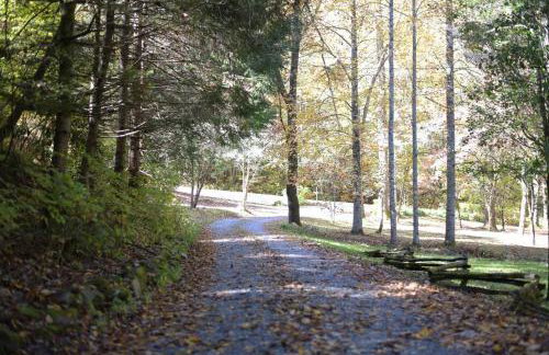 Firefly Creek Cabin in Nantahala - Foto 40