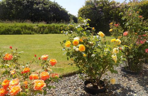 Brookfield - Foto 36