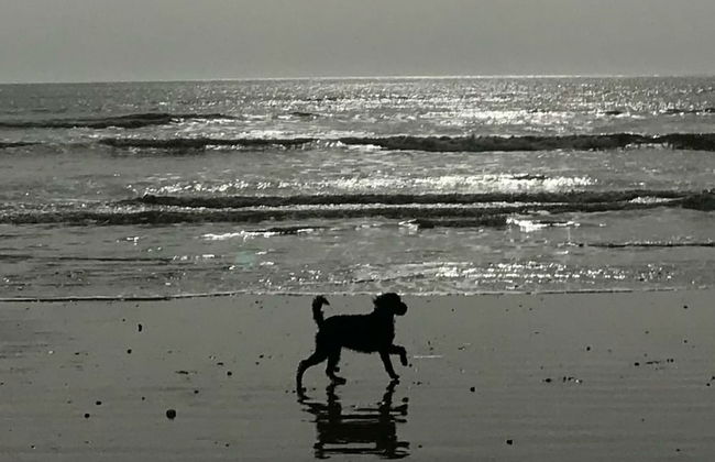 Foresters Cottage - Foto 32