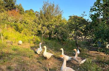 Casa rural Reibón - Foto 27