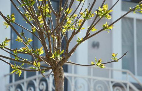 Petite Maison - Foto 23