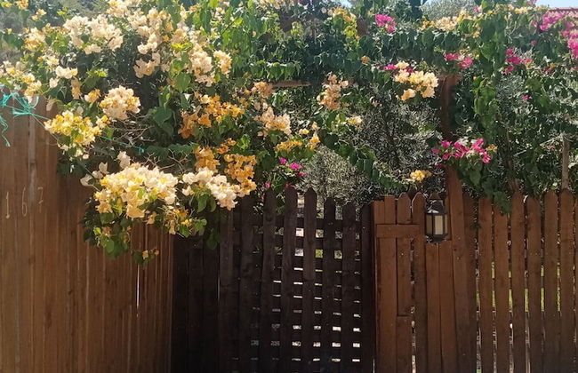 Riviera Bungalow Evleri Demre - Photo 48