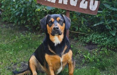 Ranczo Przyłęk - Foto 1