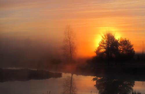 domki na leśnej polanie - Foto 28