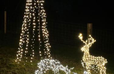 Hamish's Hideaway - Foto 37