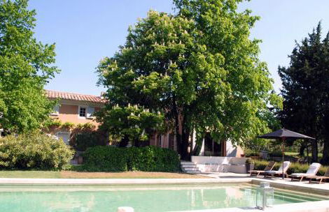 Mas provencal XIXème siécle avec piscine - Foto 1