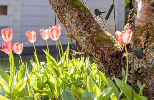 Ferienwohnung Sterl 13 - Foto 25