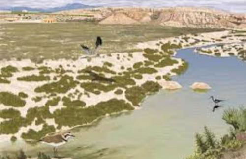 Casa de campo muy grande, con piscina y pistas - Foto 24