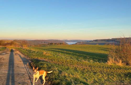 Panorama-Auszeit in Trierweiler - Foto 37