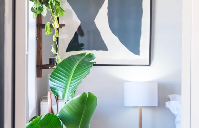 Extraordinary Stay in Mouille Point The Apartment - Photo 11