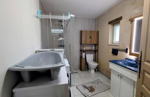 Gîte en Berry: terrasse couverte, ping-pong, près Zoo de Beauval et Château de Valençay - FR-1-591-618 - Foto 14