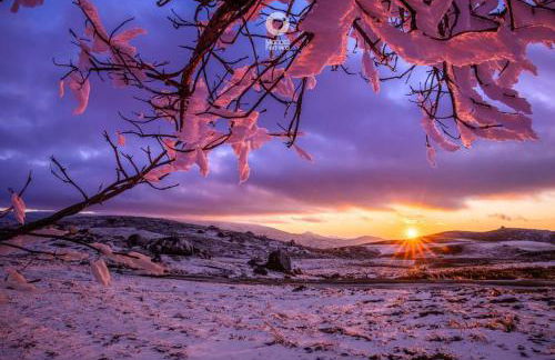 O Salgueiro - Foto 63