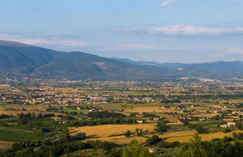 Agriturismo il Cicaleto - Foto 27