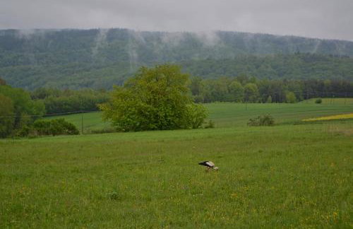 Na końcu świata - Foto 73