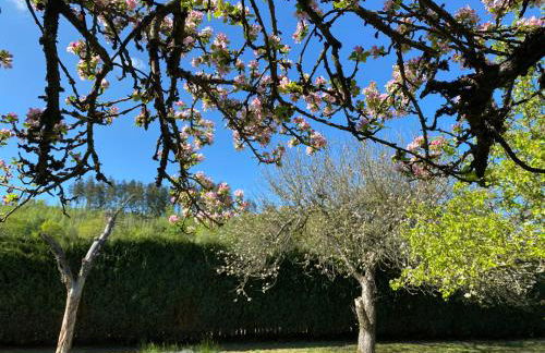 Villa federleicht - Foto 33