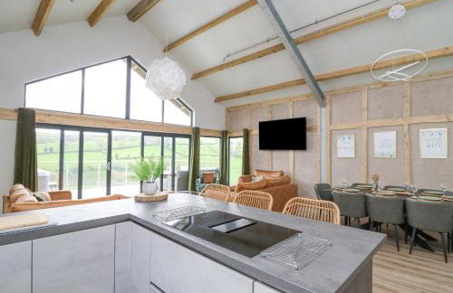 Barcud Coch - Red Kite - Photo 9