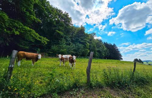 Ferienwohnungen Dorfliebe Dörnberg - Foto 53