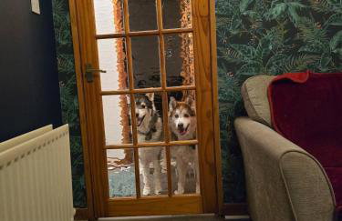 Room with a view - Foto 52