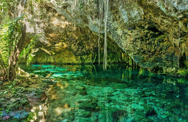 Meso Maya - Photo 58