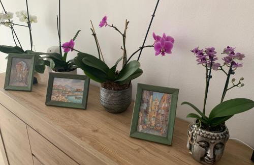 Al Capitello - Photo 6