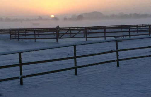 Oase Friedensthal - Foto 6