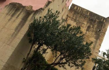 Twins' Home Chancillería, Jerez Centro, Cádiz, wifi - Foto 30