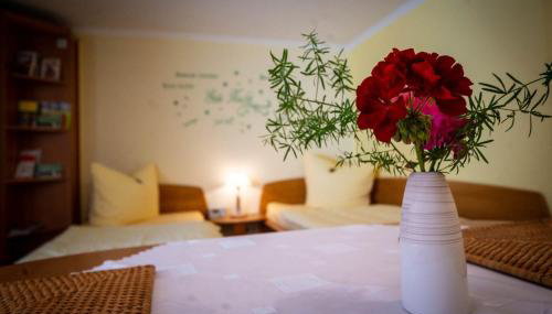 Ferienwohnung-Kopprasch - Foto 4