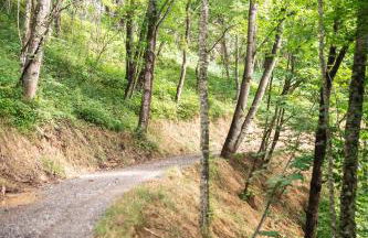 The Cypress Villa where luxury & nature meet - Foto 27