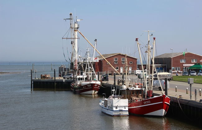 Reihenhaus, Dornumersiel - Photo 57