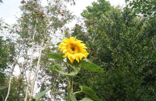 Cosy Private Flat - Pet Friendly - Foto 23