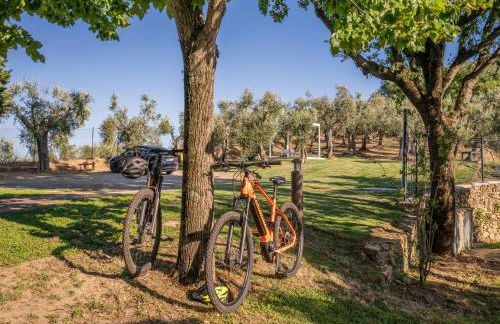 Villa in Tuscany with Pool and Olive Grove - Photo 37