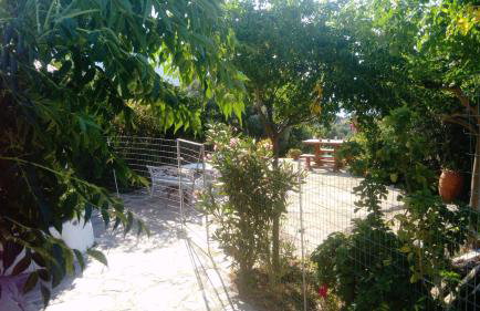 ZACHAROULA ROOMS 2 - Photo 3