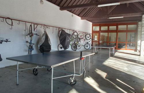 Cerdanya en familia Montana Park - Foto 18