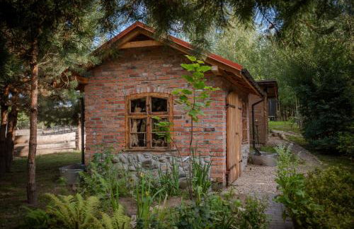 Niezapominajka - Foto 6