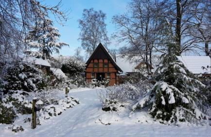 Backspieker BACK - Photo 12