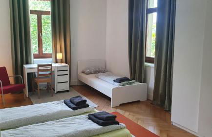 Großes Haus mit 3 Wohnungen Ravensburg Innenstadt - Foto 24