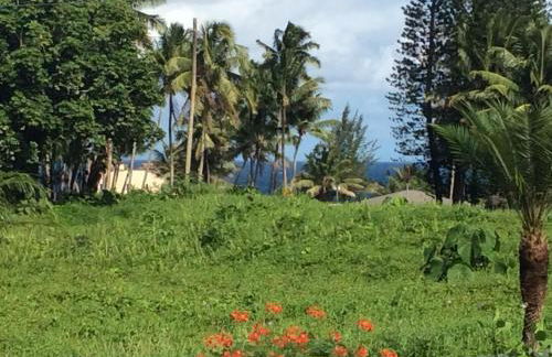 Mediteranean style Ohana Rental / Garden Bungalow in Pahoa - Photo 11