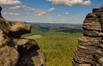 FeWo "Waldblick" und "Gartenblick" mit Pool und Kinderspielplatz - Foto 47