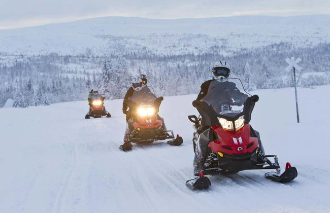 Snowmobile Ride + Reindeer & Husky Sleigh Ride - Photo 3