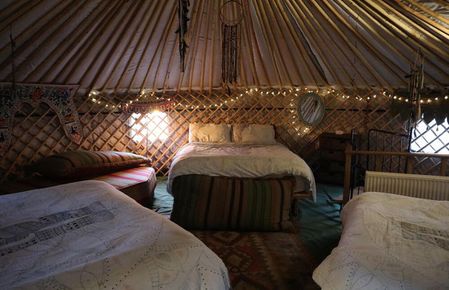 Hapus Yurt - Two Beautiful Yurts and Barn Cottage - Foto 10