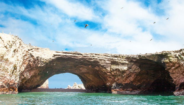 Excursion aux îles Ballestas