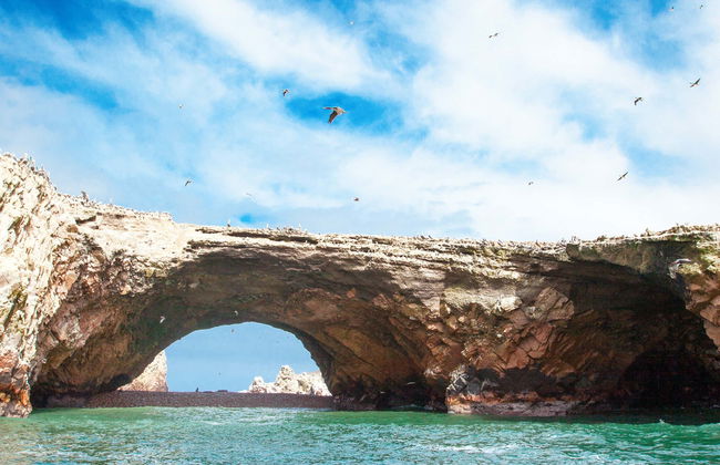 Ballestas Islands Tour - Foto 4