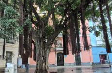 Santa Catalina by Gades Gestión - Foto 29