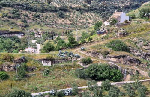 El Aroma del Dulce - Foto 50