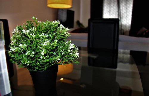 Mosh Homes - Foto 29