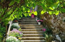 L'Aristoloche - Foto 19