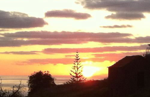 Blooming Botanic Houses - Foto 31